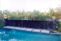 ps-36